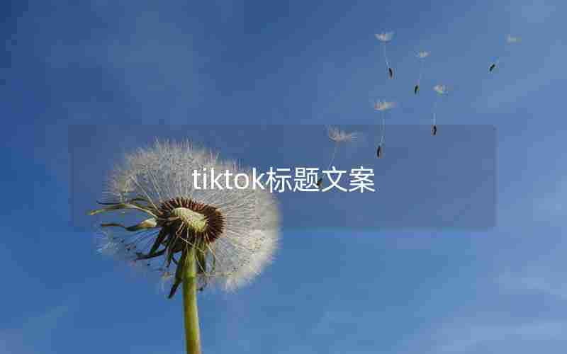 tiktok标题文案