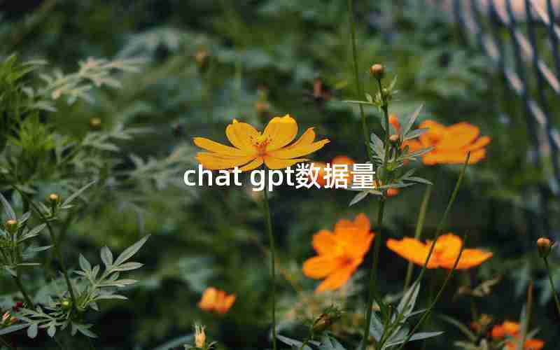 chat gpt数据量