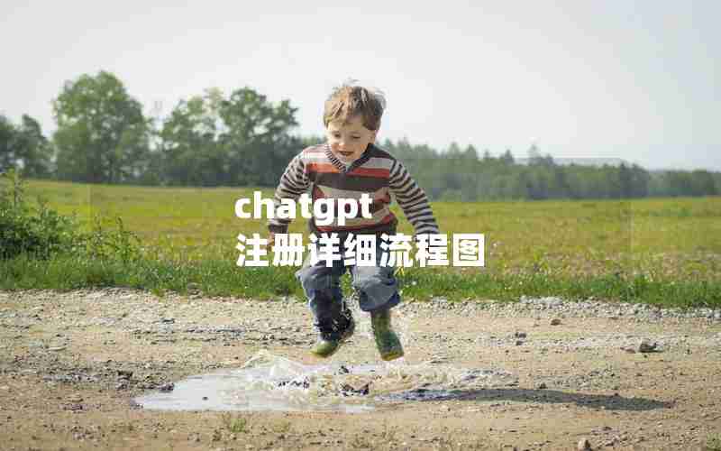 chatgpt 注册详细流程图