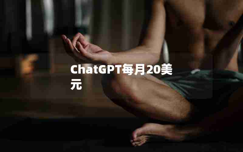 ChatGPT每月20美元