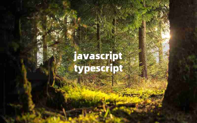 javascript typescript