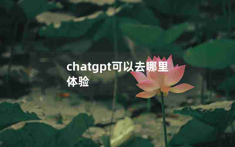 chatgpt可以去哪里体验