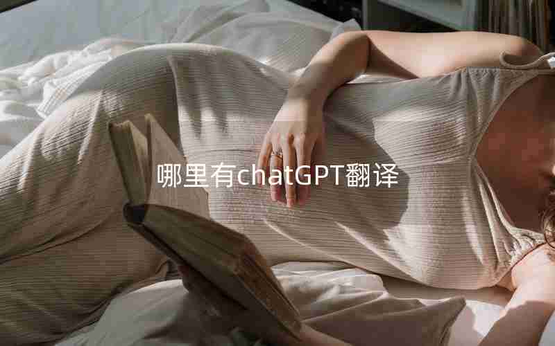 哪里有chatGPT翻译