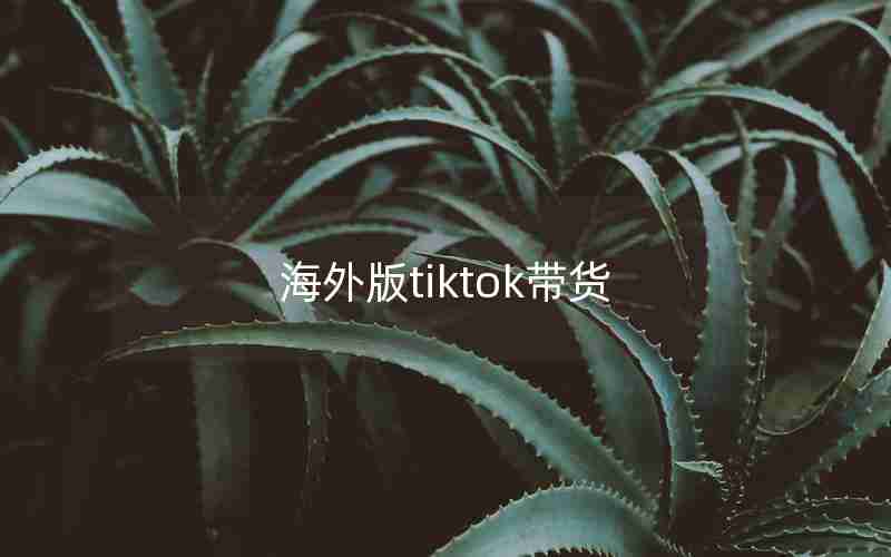 海外版tiktok带货