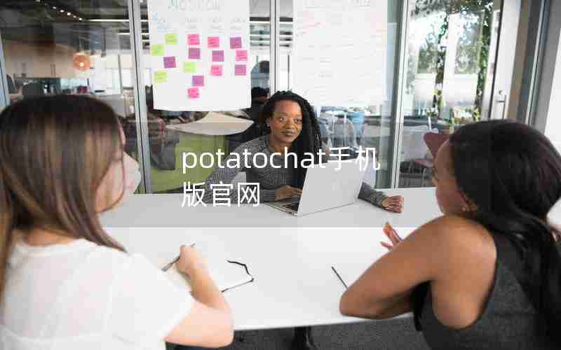 potatochat手机版官网