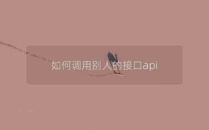 如何调用别人的接口api