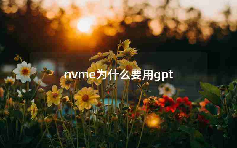 nvme为什么要用gpt