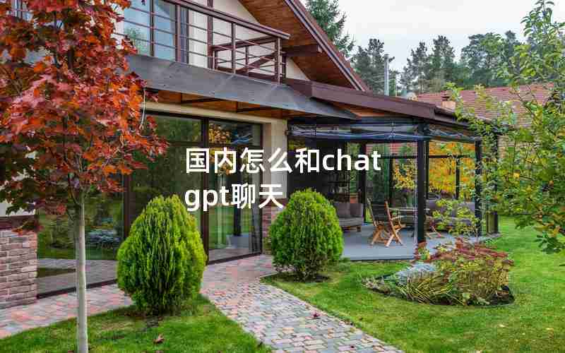 国内怎么和chat gpt聊天