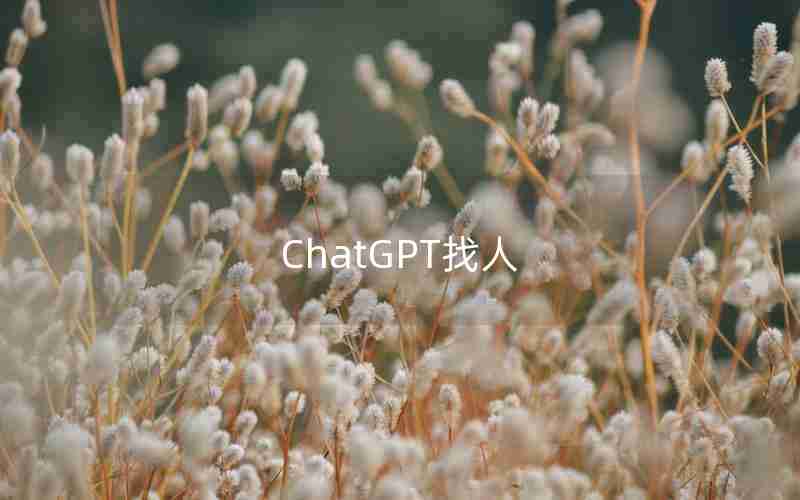 ChatGPT找人