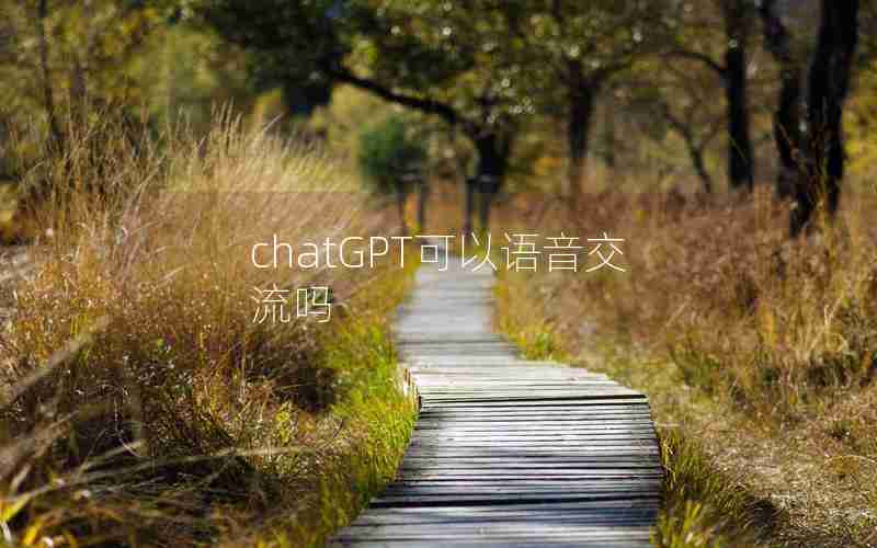 chatGPT可以语音交流吗