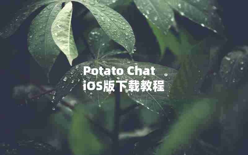 Potato Chat iOS版下载教程