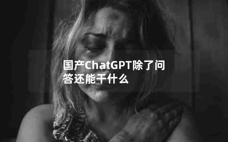 国产ChatGPT除了问答还能干什么