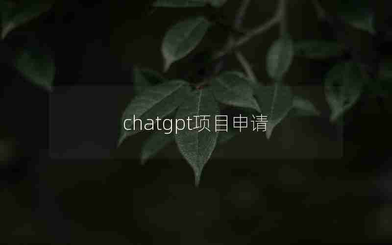 chatgpt项目申请