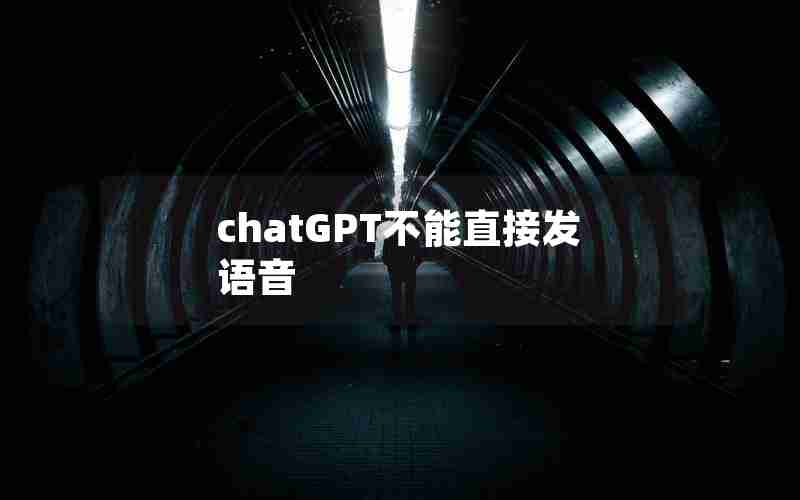 chatGPT不能直接发语音