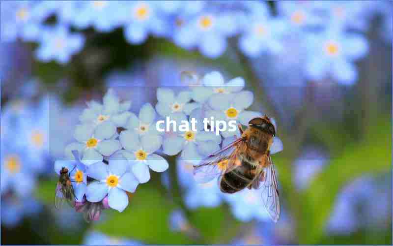 chat tips