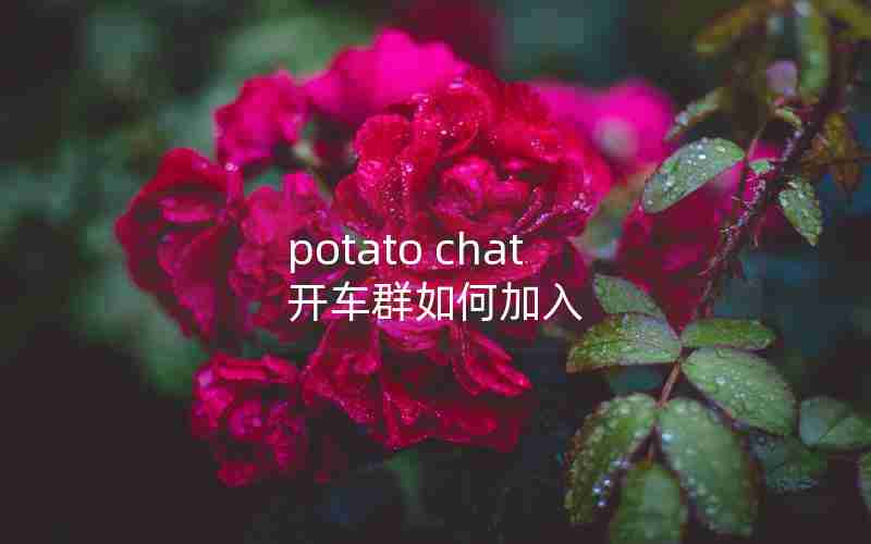 potato chat 开车群如何加入