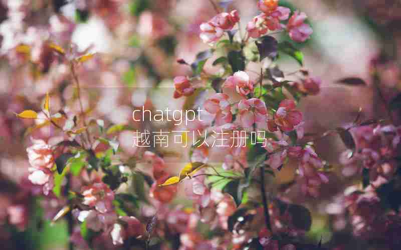 chatgpt 越南可以注册吗