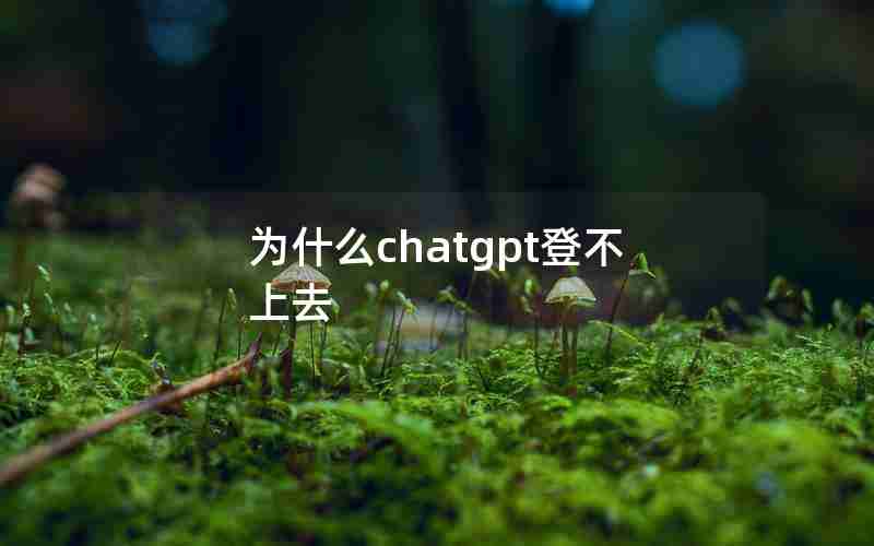 为什么chatgpt登不上去