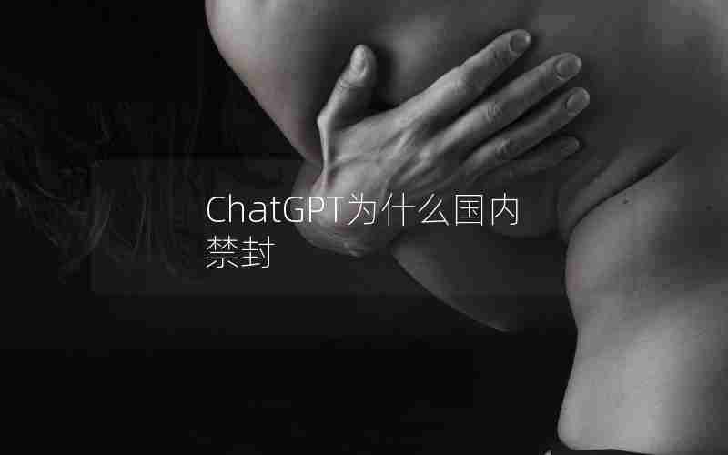 ChatGPT为什么国内禁封