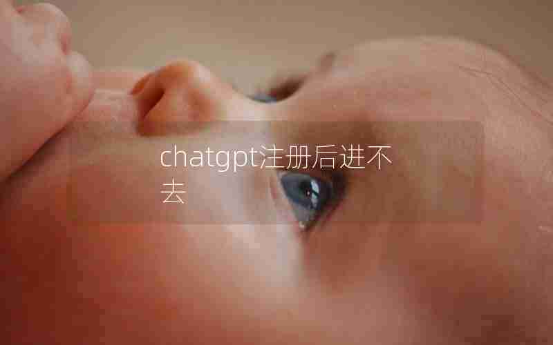 chatgpt注册后进不去