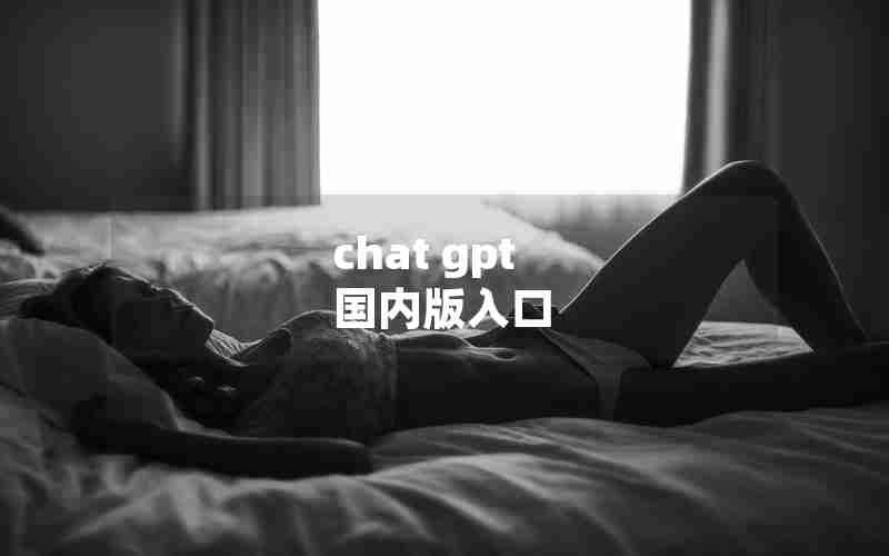 chat gpt 国内版入口