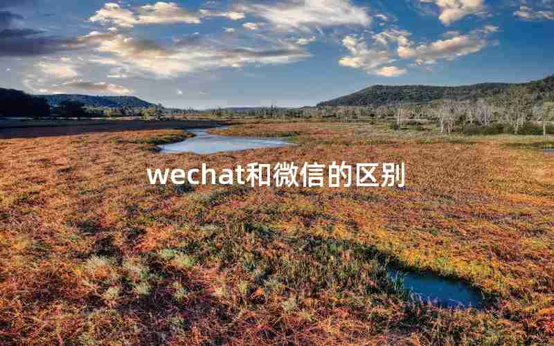 wechat和微信的区别