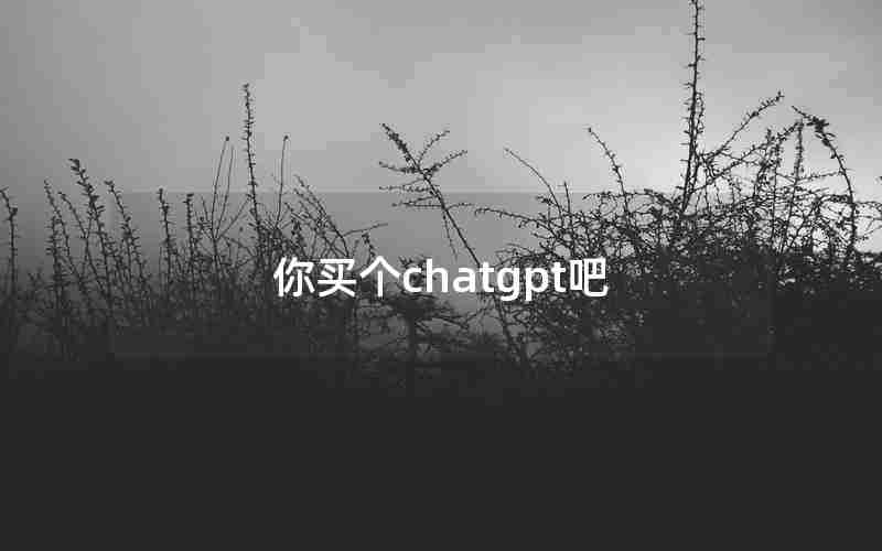 你买个chatgpt吧