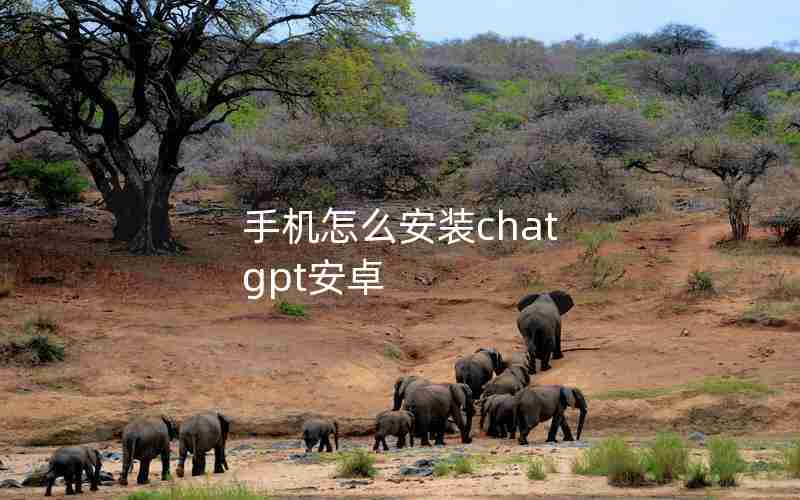 手机怎么安装chat gpt安卓