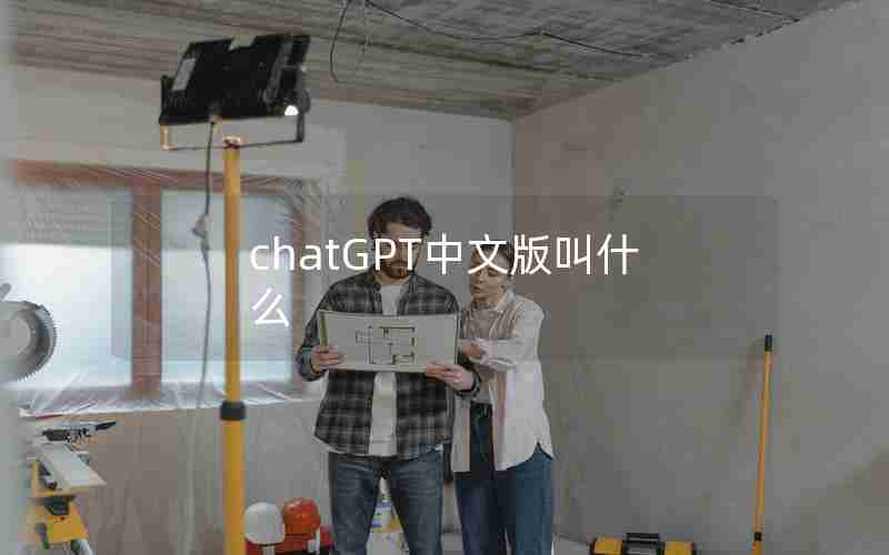 chatGPT中文版叫什么