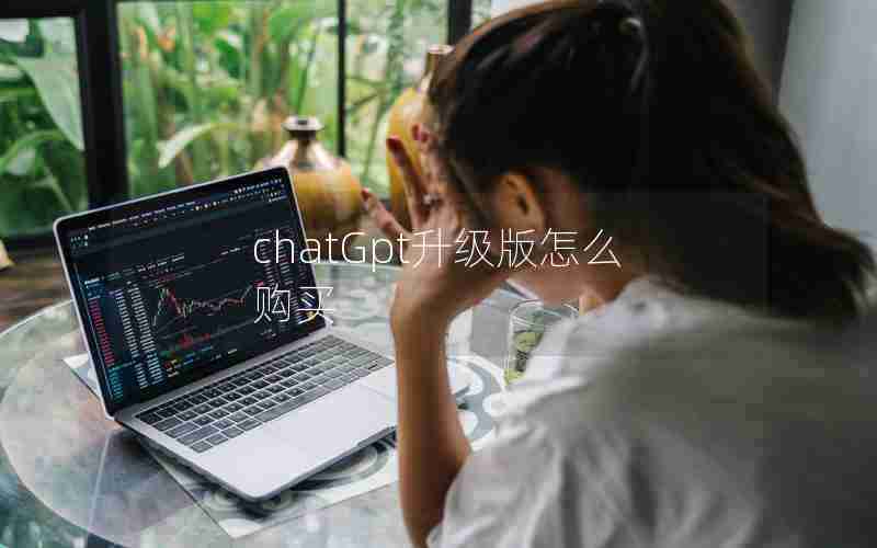 chatGpt升级版怎么购买