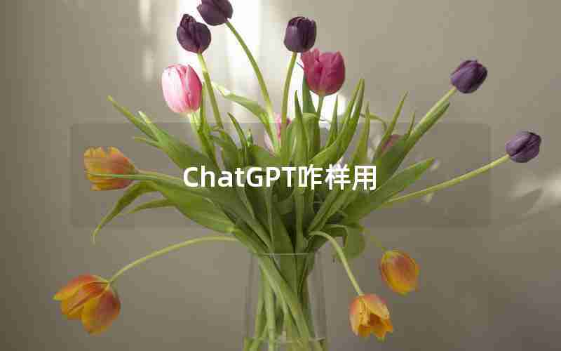 ChatGPT咋样用