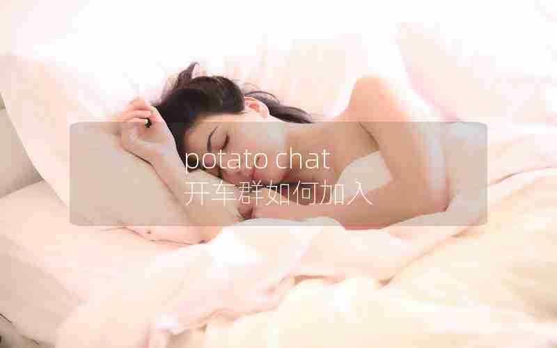 potato chat 开车群如何加入