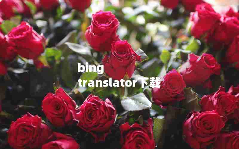 bing translator下载