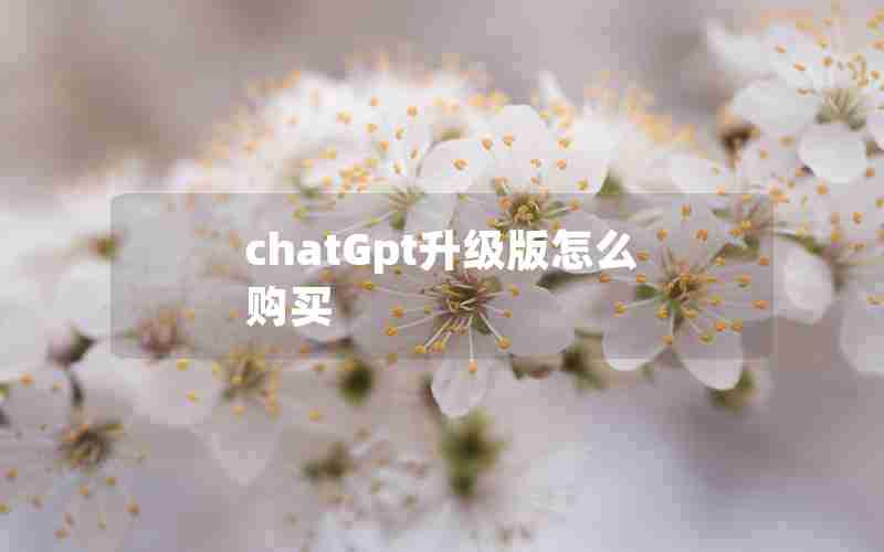 chatGpt升级版怎么购买