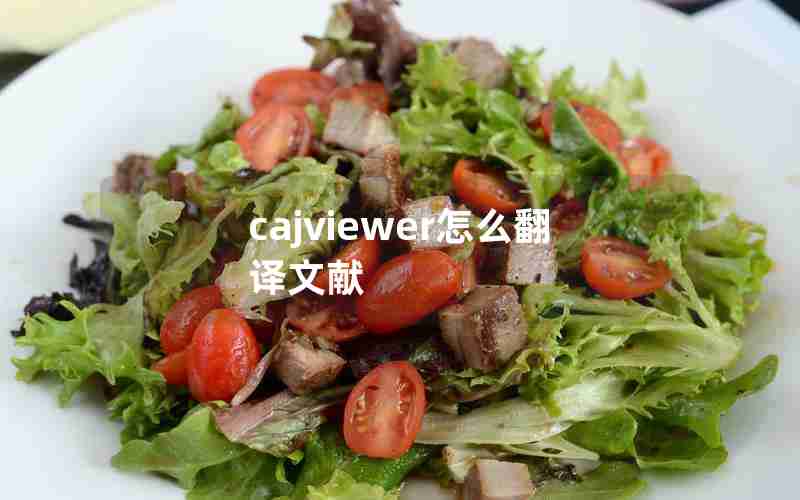 cajviewer怎么翻译文献