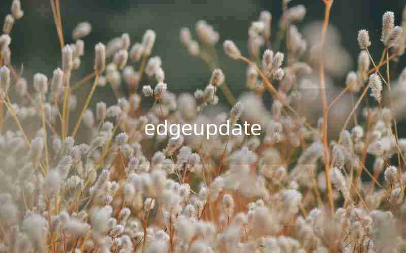 edgeupdate