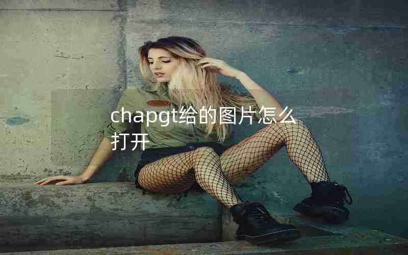 chapgt给的图片怎么打开