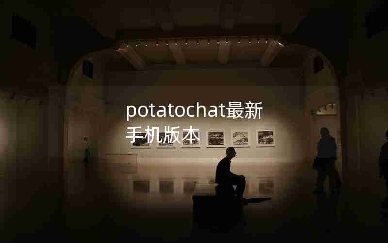 potatochat最新手机版本