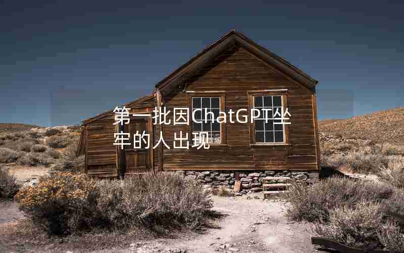 第一批因ChatGPT坐牢的人出现