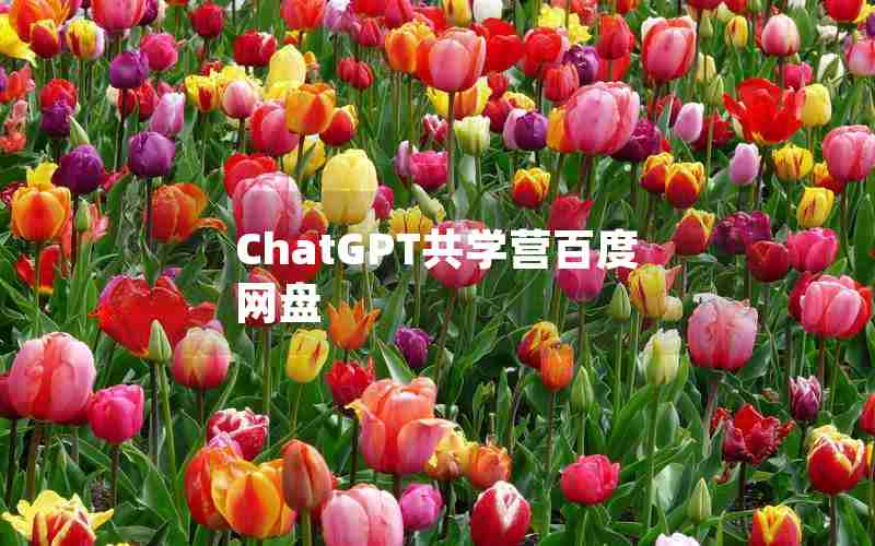 ChatGPT共学营百度网盘