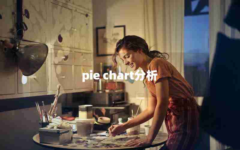 pie chart分析