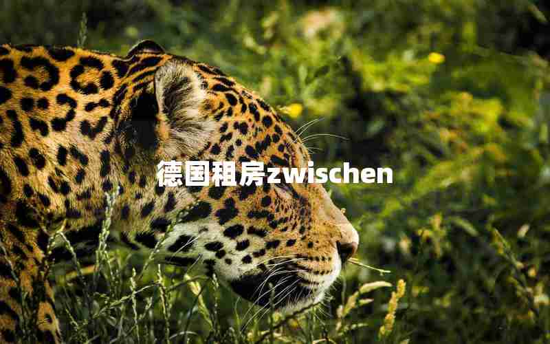 德国租房zwischen