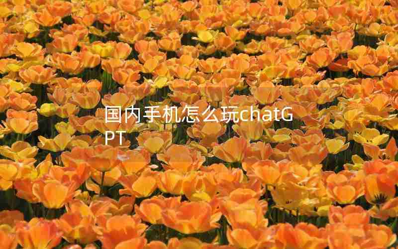 国内手机怎么玩chatGPT