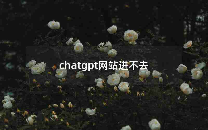 chatgpt网站进不去