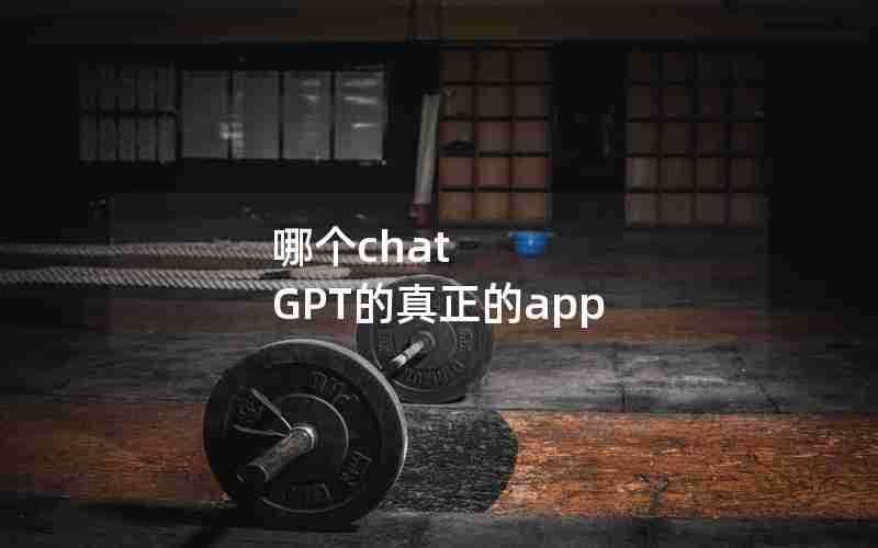 哪个chat GPT的真正的app