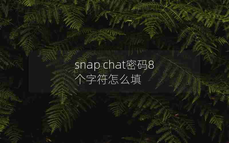 snap chat密码8个字符怎么填