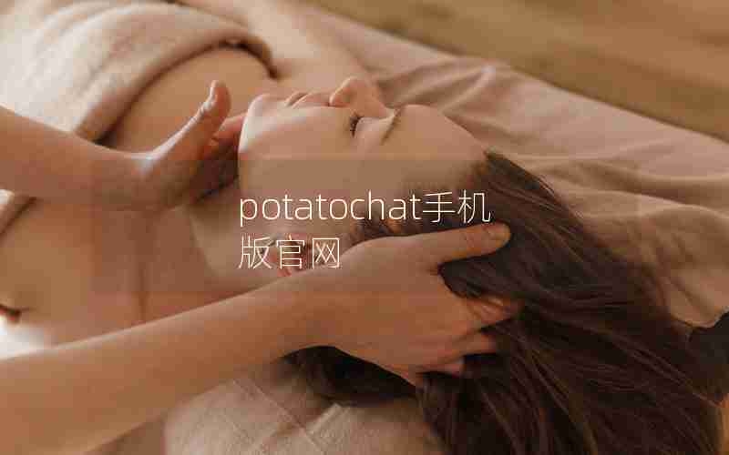 potatochat手机版官网