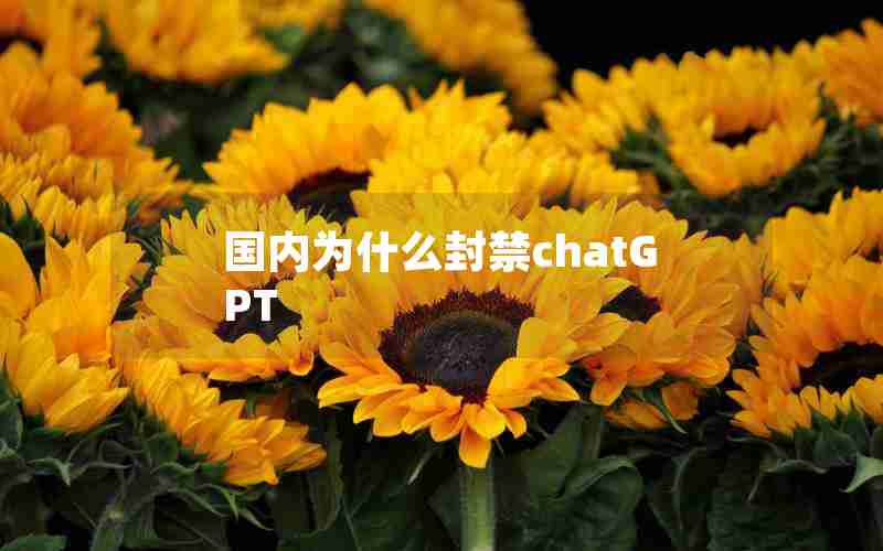 国内为什么封禁chatGPT