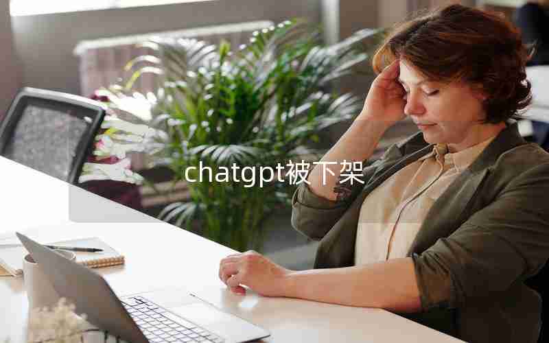 chatgpt被下架—potato chat 下载教程