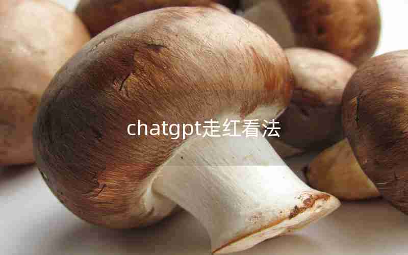 chatgpt走红看法